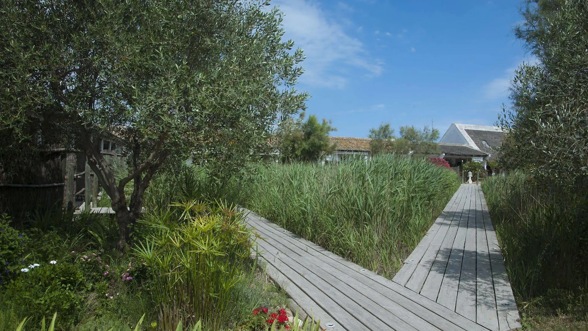 Hotel Restaurant Les Arnelles Saintes-Maries-de-la-Mer 4*,  France